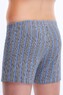 Трусы мужские боксеры Kosta 1009-5 (размеры: S, M, L)