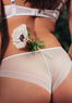 Luna Трусики брифы L5135BR-M Antia